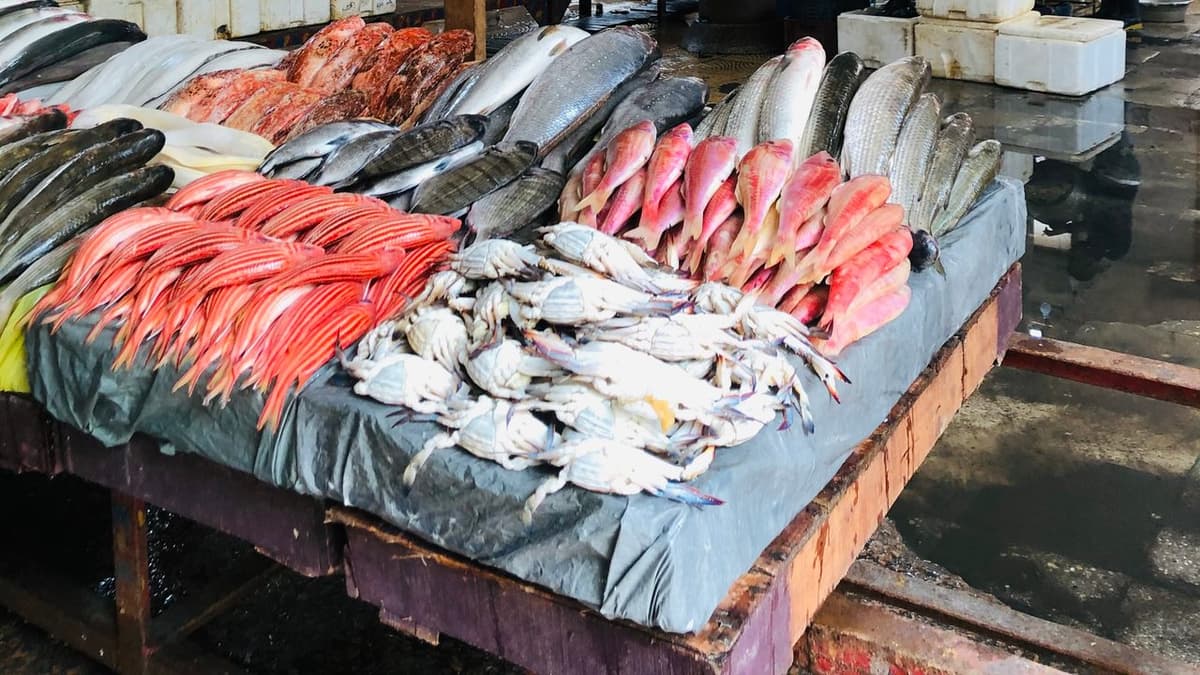 Alexandria’s Fish Market