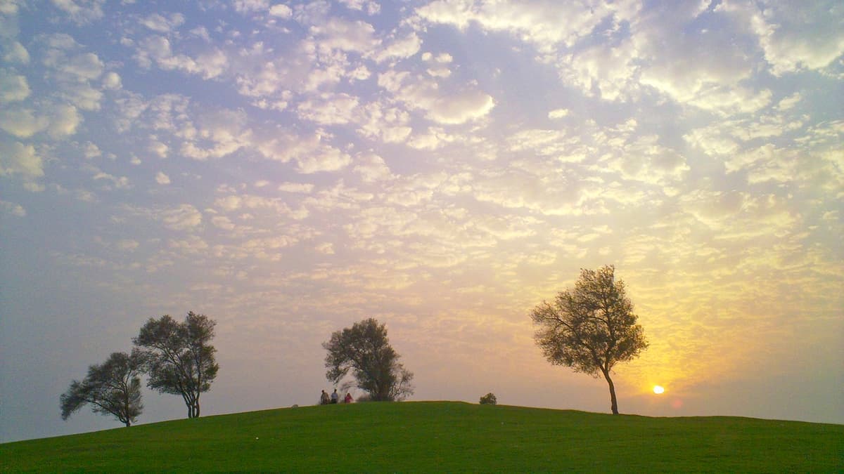 An Air-Conditioned Track in Al Gharrafa Park