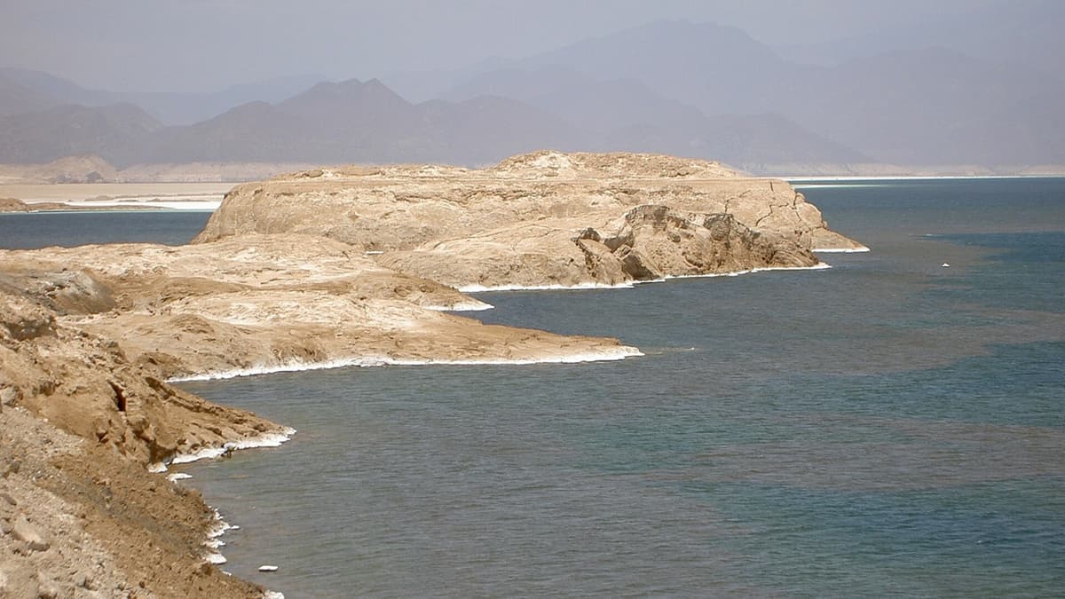 What Does a Deep Well Mean? Reading the Asal Report