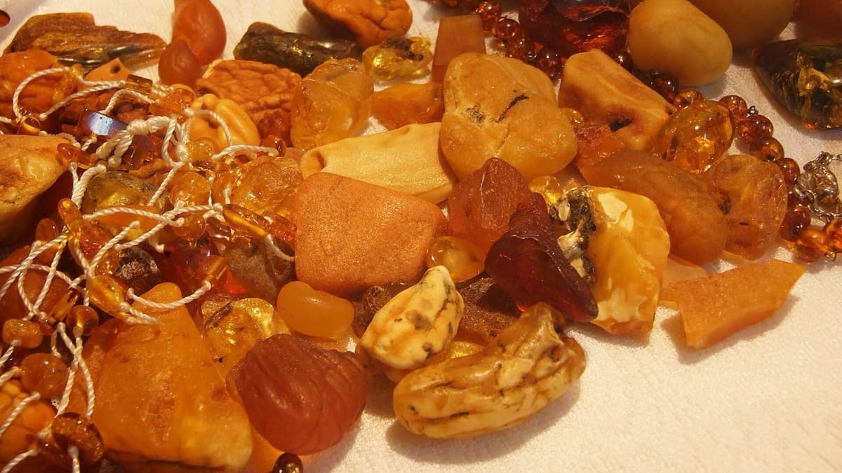 An insect in Lebanese amber