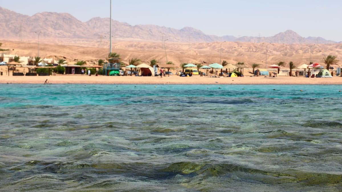 Turning Waste into Something Useful in Aqaba