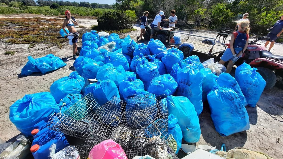 Friends Clean the Beach