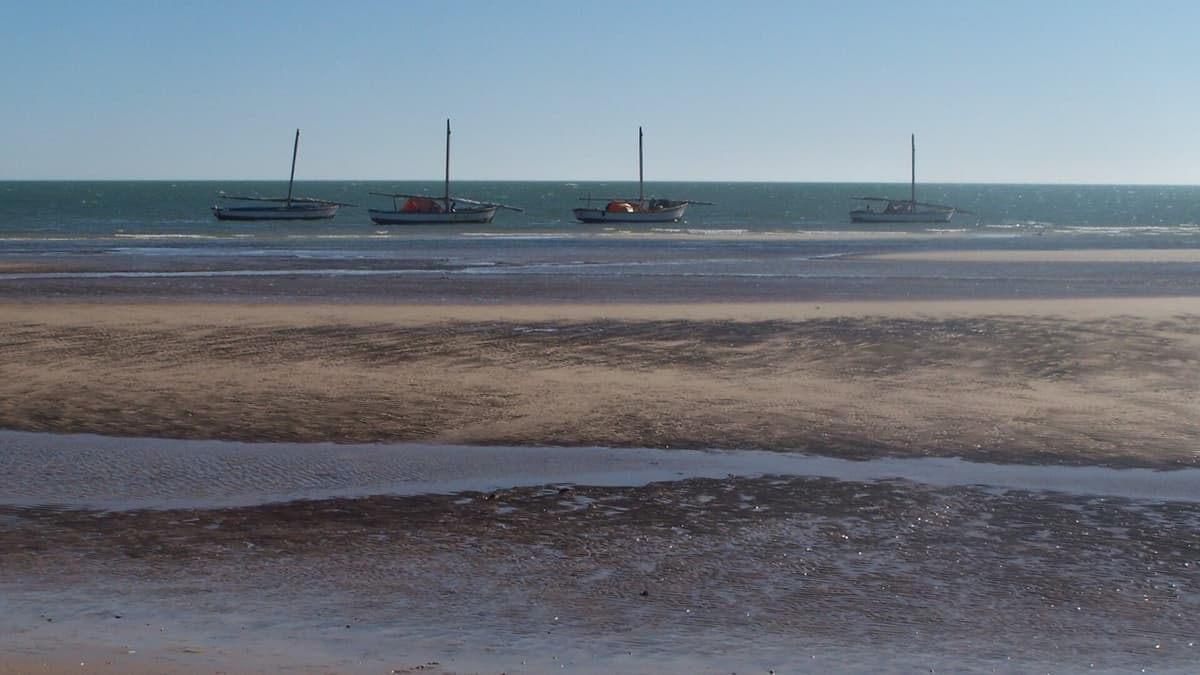 Sea Water for Science
