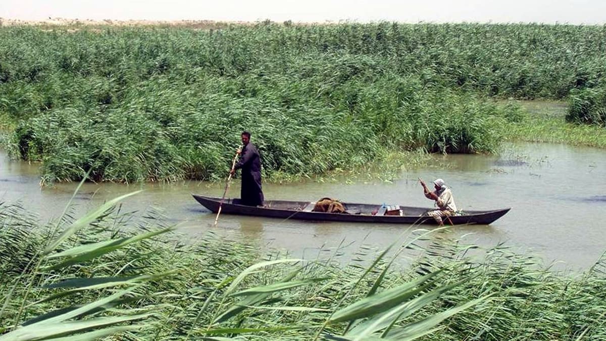 Marsh Boats in Miniature