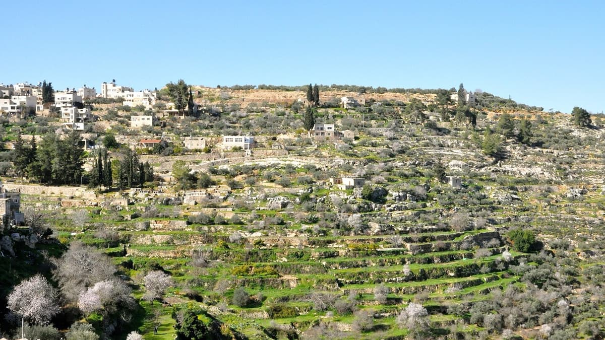 Battir’s Springs and Its Fields