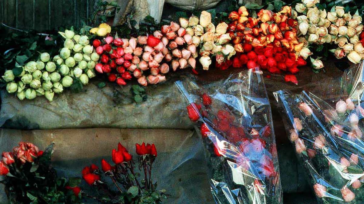 The Flower Car in Damascus