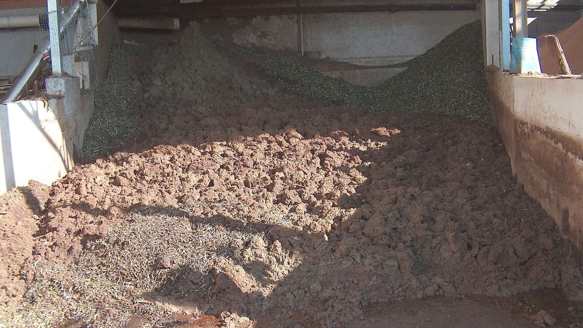 From Mill Residues to a Working Network