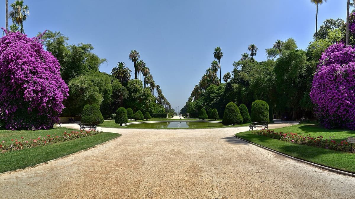 Two Gardens in One: Hamma in Algiers