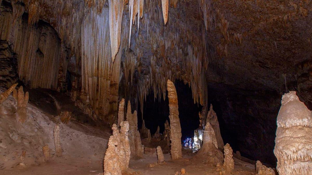 Hoq Cave: Brief Inscriptions, Far-Reaching Questions