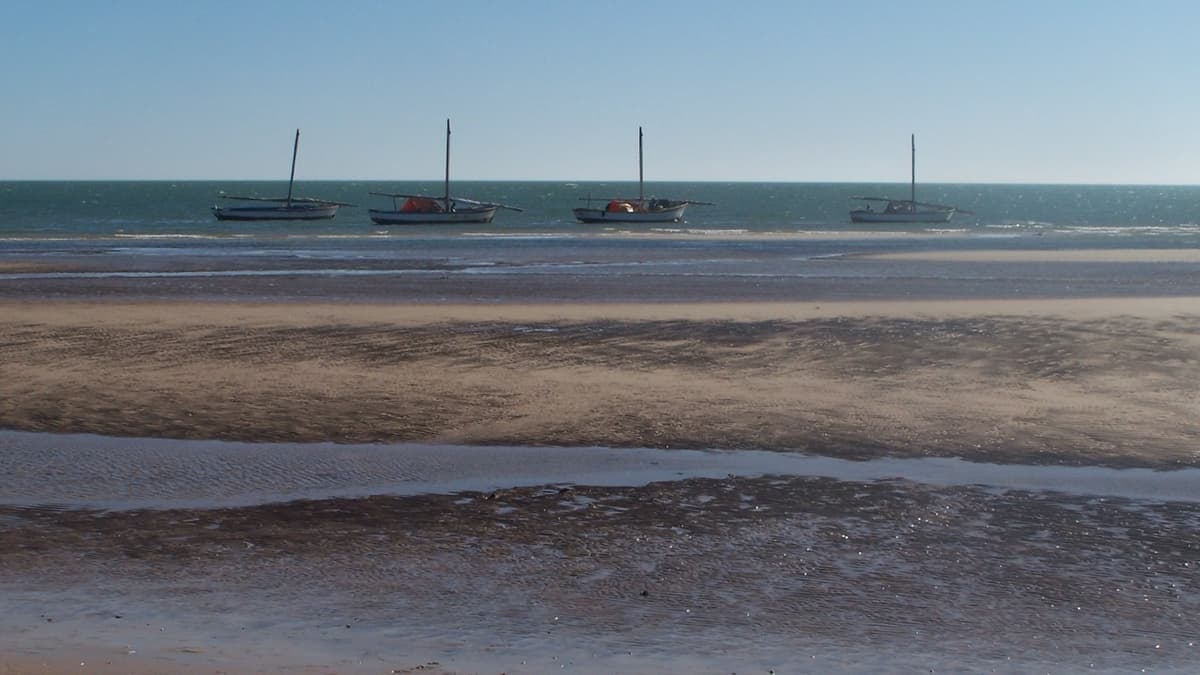 Living off the Sea in Mauritania