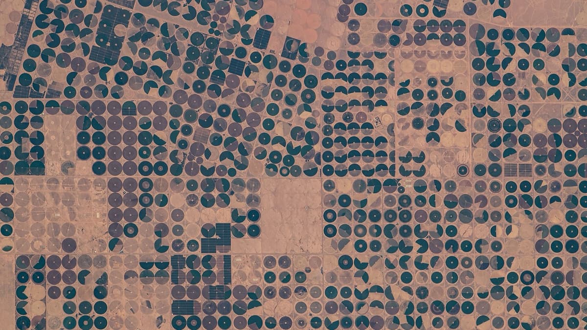 Farming with Salty Water