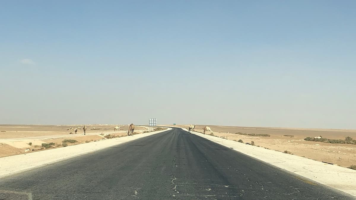Khashabiyeh: Fitting a Vast Landscape onto Stone