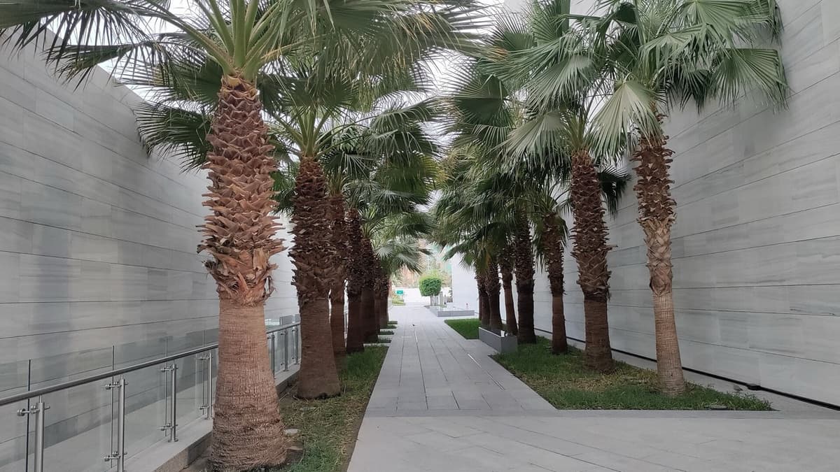 Science Through Play in Kuwait