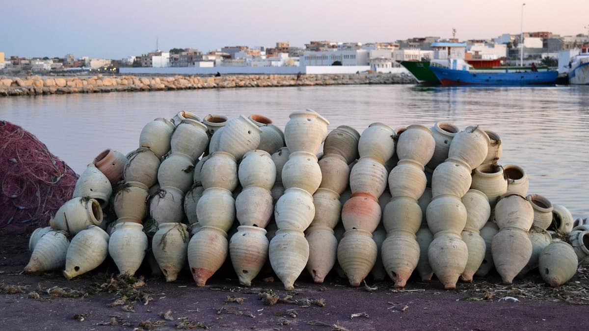 Octopus Pots: What Did the Nouadhibou Experiment Show?