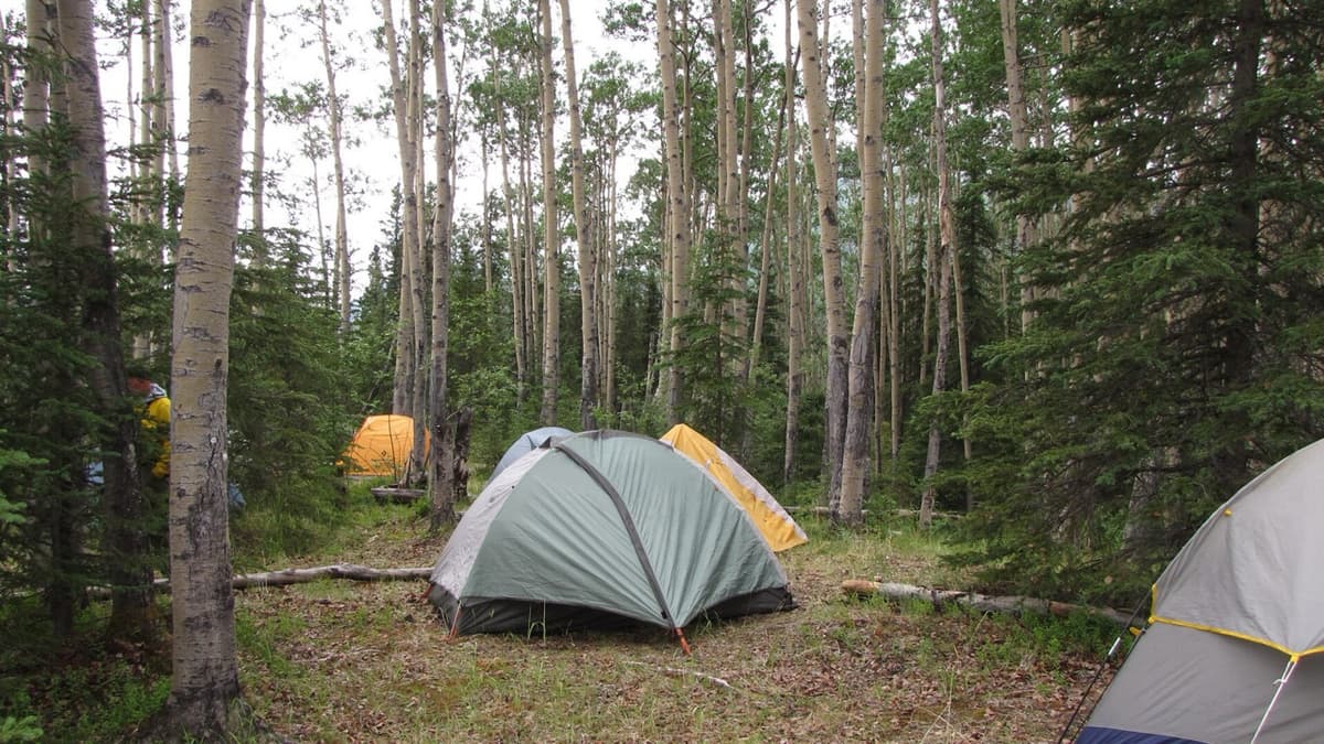 Camping Together in Tunisia