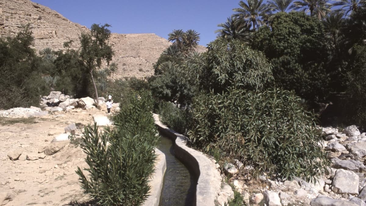 Sharing Water in Wadi Bani Harras