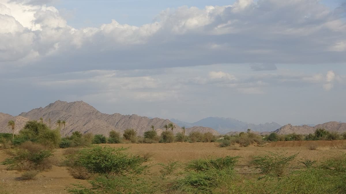 Wadi Mawr: spate water between design and distribution
