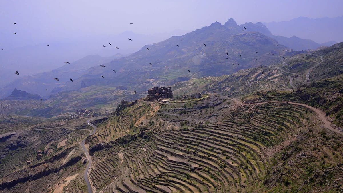 Coffee’s Journey from the Mountain to the Roaster